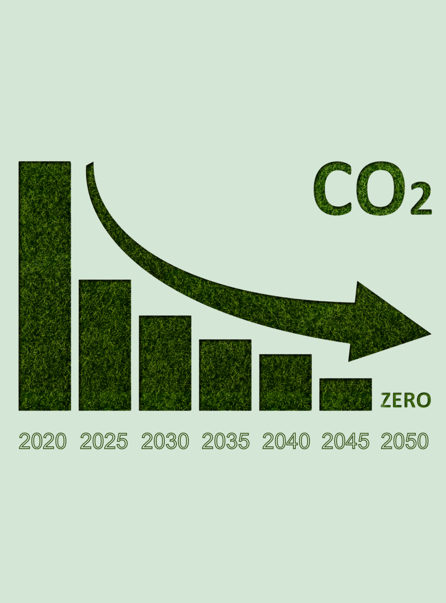 Graphique progression vers la neutralité carbone