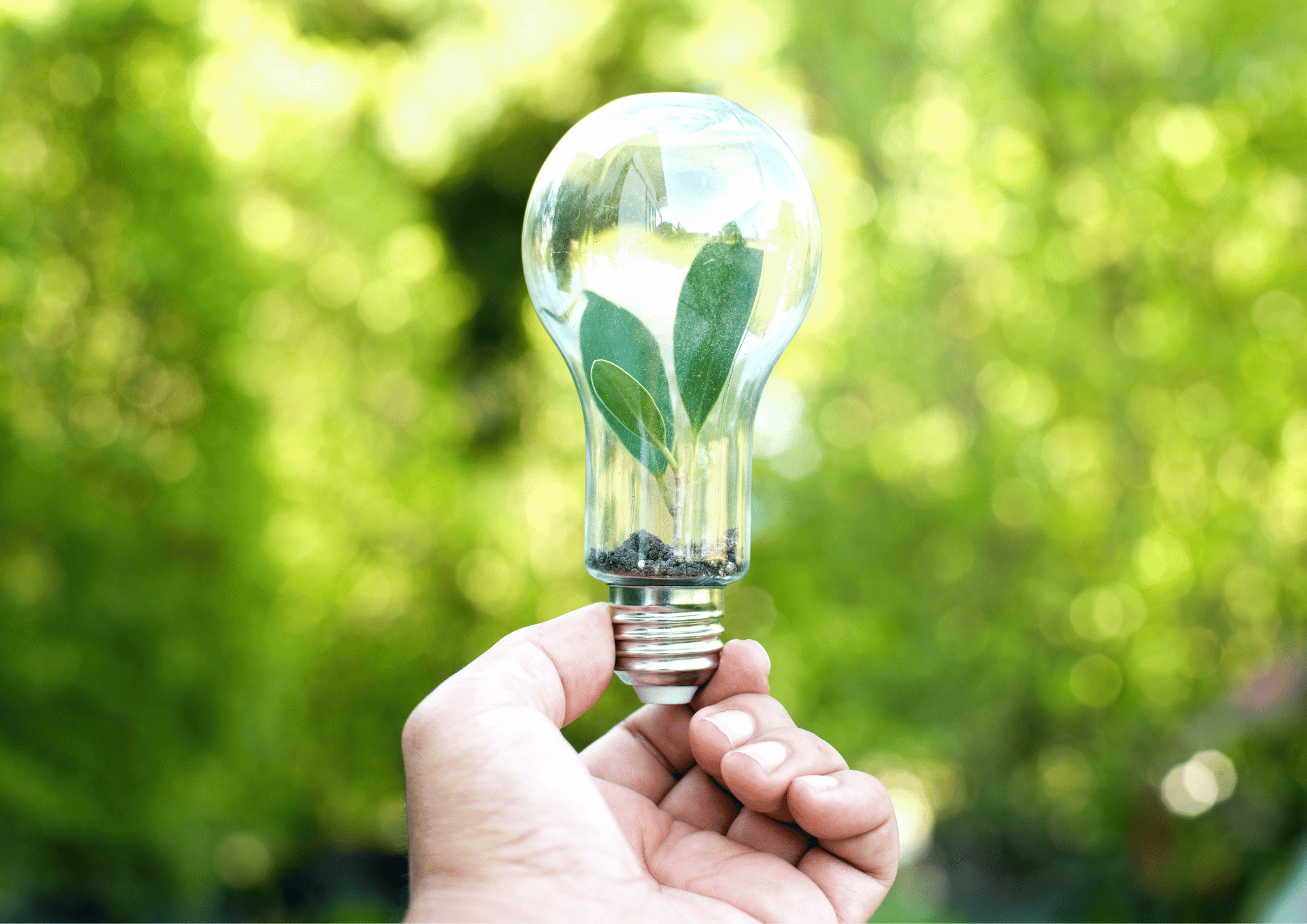 Performance énergétique en entreprise