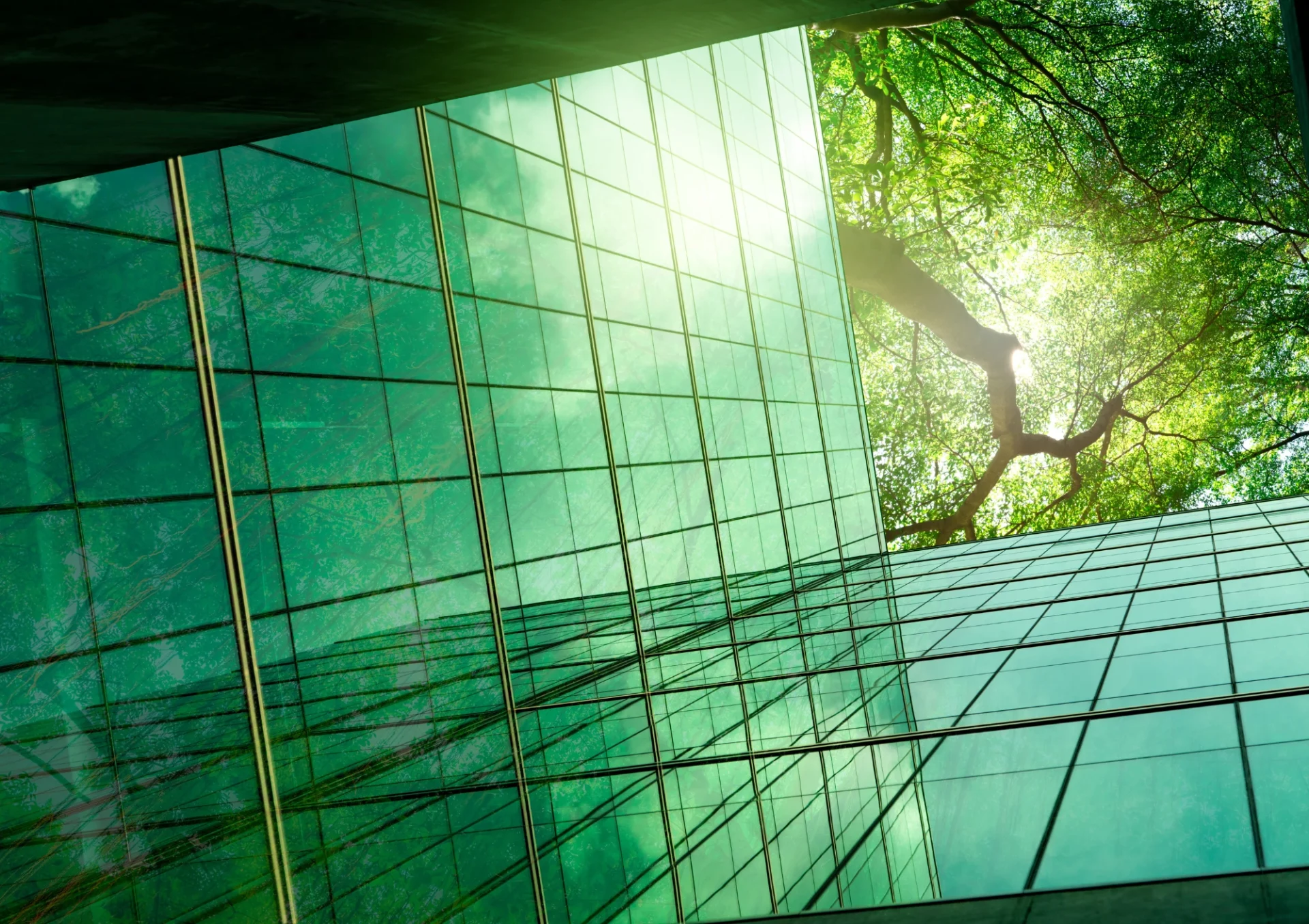 enjeux énergétiques bâtiments